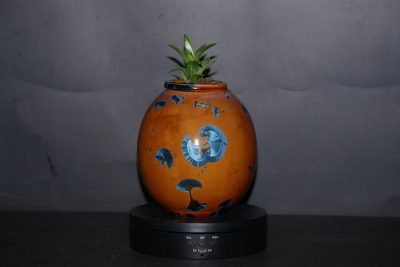 Vase avec pot encastrable en porcelaine pour plante grasse