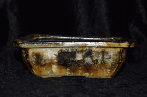 Pot à bonsaï rectangulaire 17 cm en grès