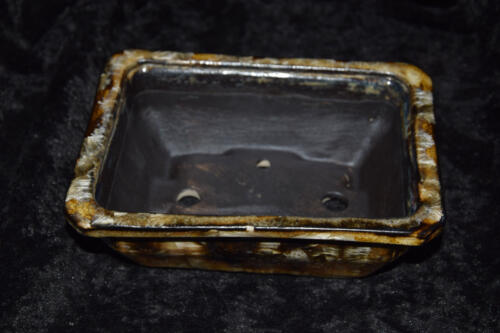 Pot à bonsaï rectangulaire 17 cm en grès