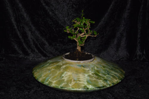 Pot à bonsaï en forme de disque vert citron