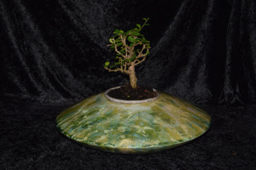 Pot à bonsaï en forme de disque vert citron