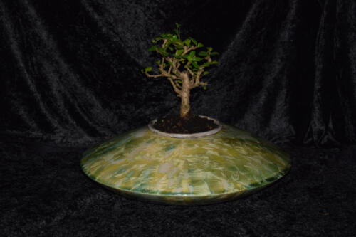 Pot à bonsaï en forme de disque vert citron