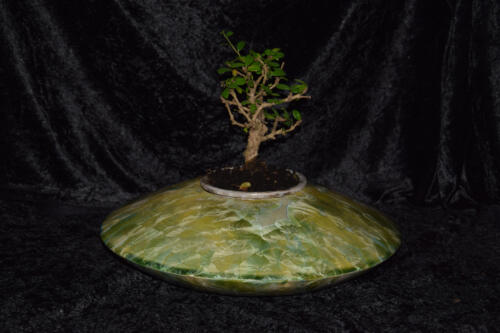 Pot à bonsaï en forme de disque vert citron