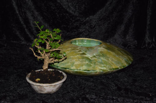 Pot à bonsaï en forme de disque vert citron