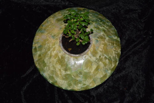 Pot à bonsaï en forme de disque vert citron