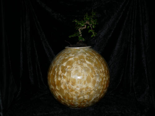 Pot à bonsaï en forme de la sphère jaune soleil