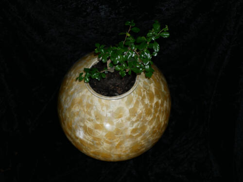 Pot à bonsaï en forme de la sphère jaune soleil