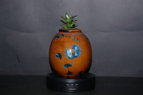 Vase avec pot encastrable en porcelaine pour plante grasse