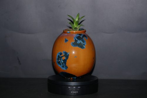 Vase avec pot encastrable en porcelaine pour plante grasse
