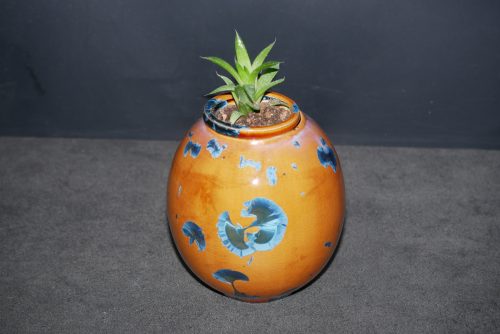 Vase avec pot encastrable en porcelaine pour plante grasse